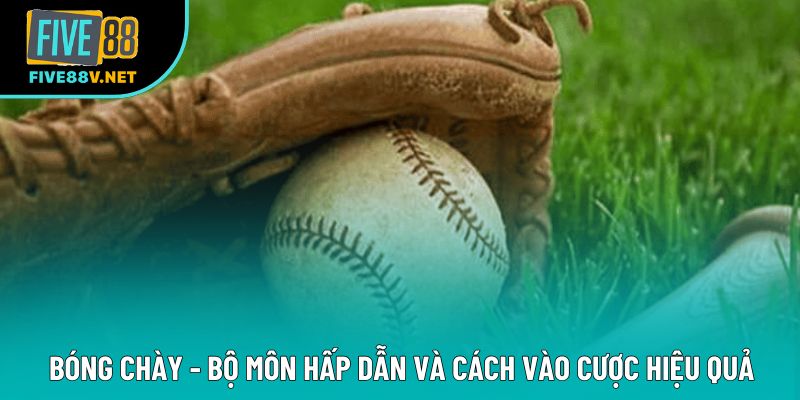 Bóng Chày - Bộ Môn Hấp Dẫn Và Cách Vào Cược Hiệu Quả